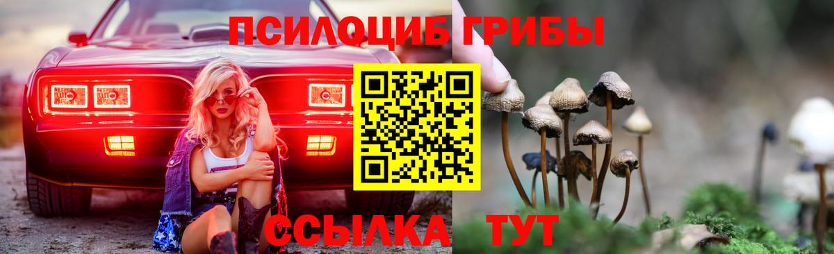 Новосибирск  где найти наркотики  Вход с VPN  Галлюциногенные грибы Psilocybine cubensis 